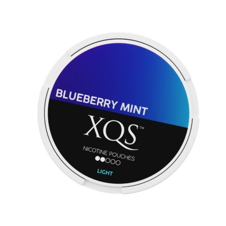 XQS Blueberry mint nikotiininuuska